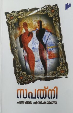 SAPATNI
